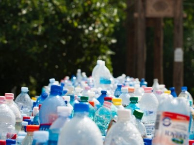 Utylizacja tworzyw sztucznych i jej znaczenie dla ekosystemu