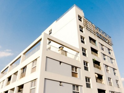Domowe zwierzęta a zakup mieszkania: Co warto wiedzieć?