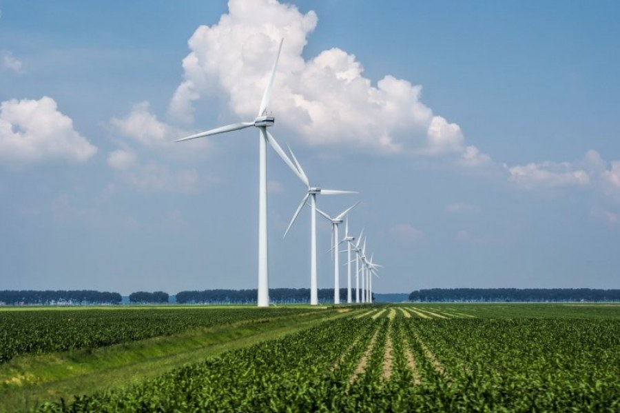 Jak działają farmy wiatrowe i dlaczego są przyszłością odnawialnej energii?