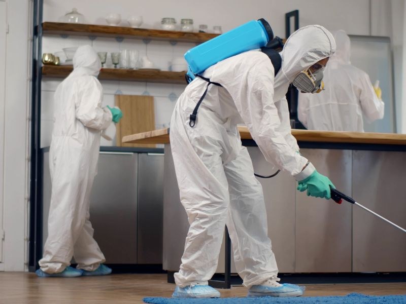 Jak rozpoznać, że mieszkanie po zmarłym wymaga profesjonalnej dezynfekcji?