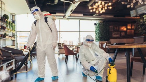 Dezynsekcja w lokalach gastronomicznych w Łodzi – wymagania sanepidu i dobre praktyki