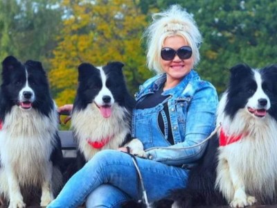 Jak wybrać hodowlę Border Collie?