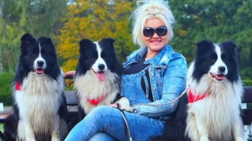 Jak wybrać hodowlę Border Collie?
