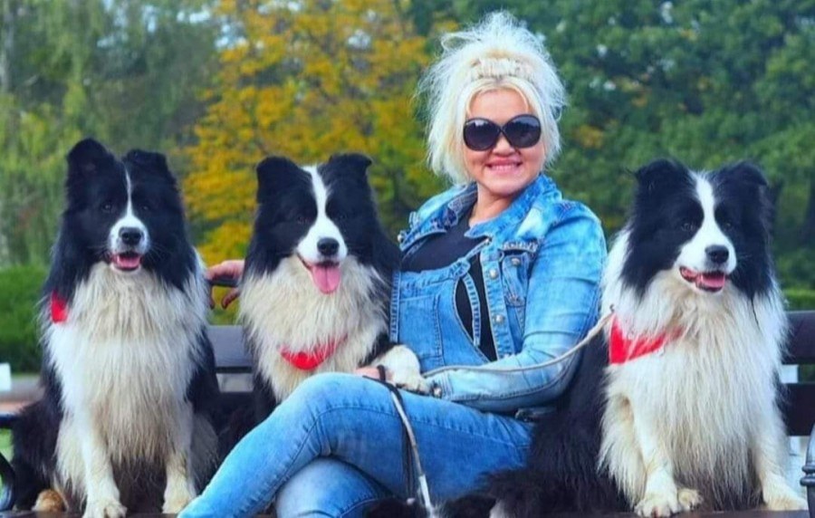 Jak wybrać hodowlę Border Collie?