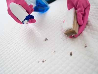 Jak skutecznie usunąć plamy z krwi z pościeli lub materaca?