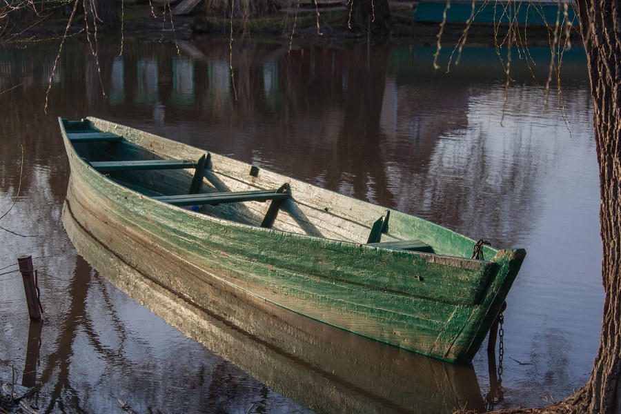 Ballada o Januszu i Sarze (legenda o Łodzi)