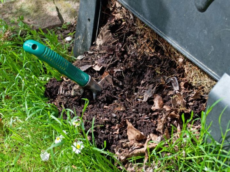 Aktywator kompostu: jak działa, które preparaty polecają eksperci?