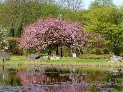 Łódzki Ogród Botaniczny