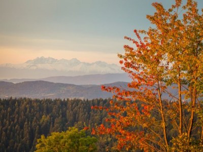 Dlaczego warto pojechać z dziećmi w Gorce? Sprawdź!