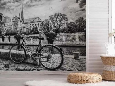 Znajdź dekoracje ścienną do swojego przedpokoju wśród fototapet przedstawiających Paryż!