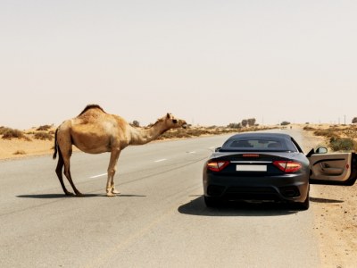 Import samochodu z Dubaju - Co powinieneś wiedzieć przed podjęciem decyzji