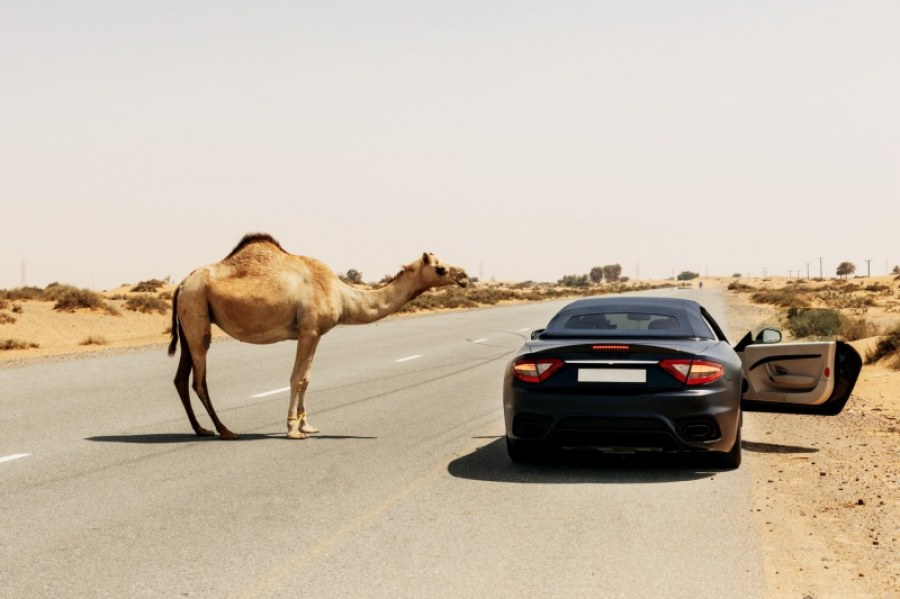 Import samochodu z Dubaju - Co powinieneś wiedzieć przed podjęciem decyzji