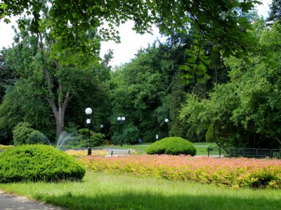 Park im. Jana Matejki