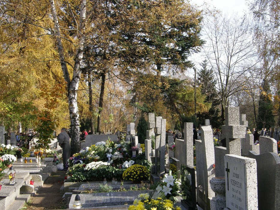 Cmentarz Komunalny „Zarzew