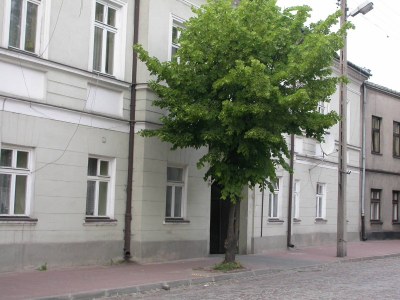 Muzeum Guzików