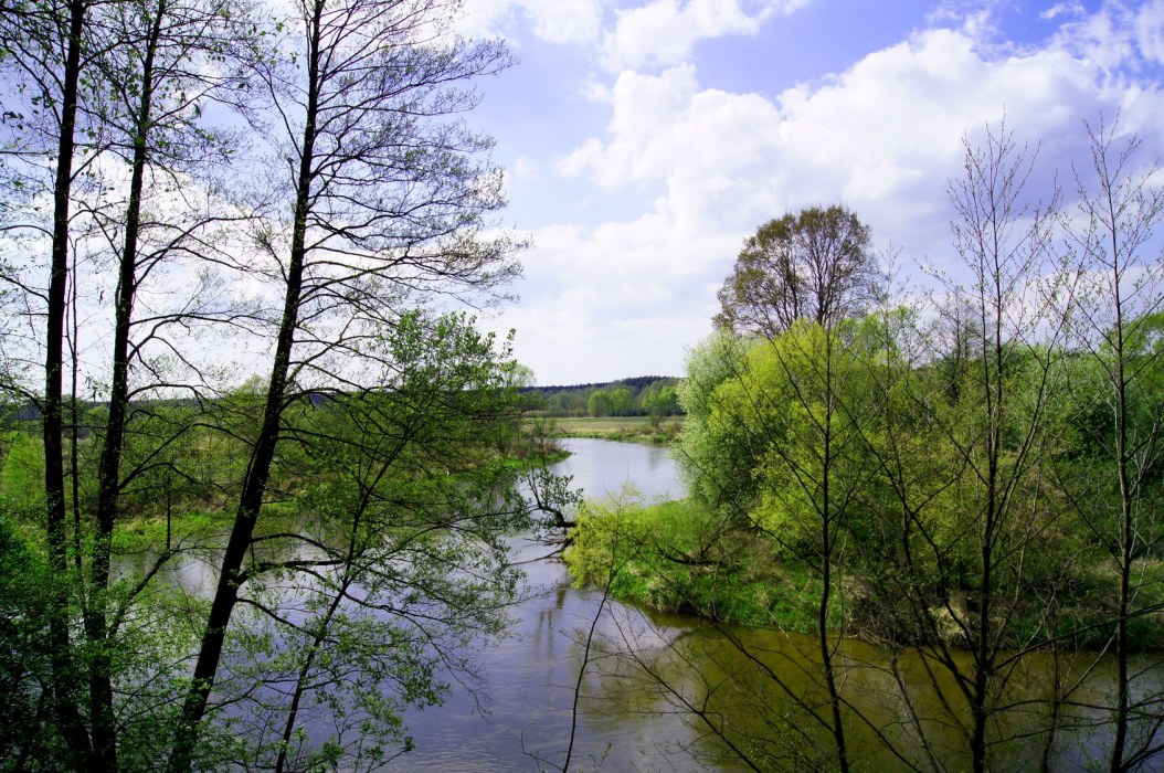 Park Krajobrazowy Międzyrzecza Warty i Widawki