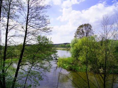 Park Krajobrazowy Międzyrzecza Warty i Widawki