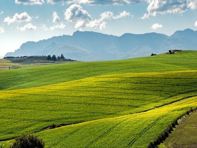 Na czym polega uprawa bezorkowa?