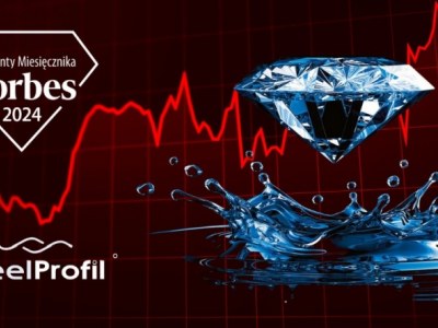 SteelProfil - Lider Branży Budowlanej Nagrodzony Diamentami Forbesa 2024