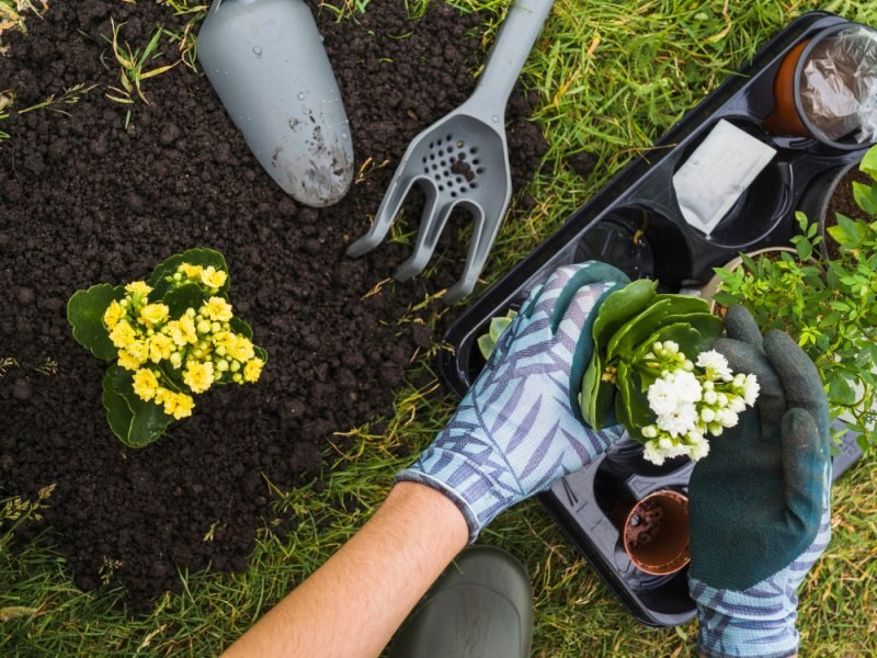 Ogrodnictwo Zero Waste: Triki na wykorzystanie odpadów domowych na działce