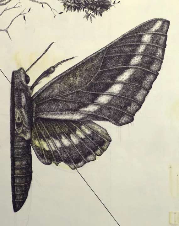 Moth – what secrets does the mysterious mural hide at the tenement on Kilińskiego?