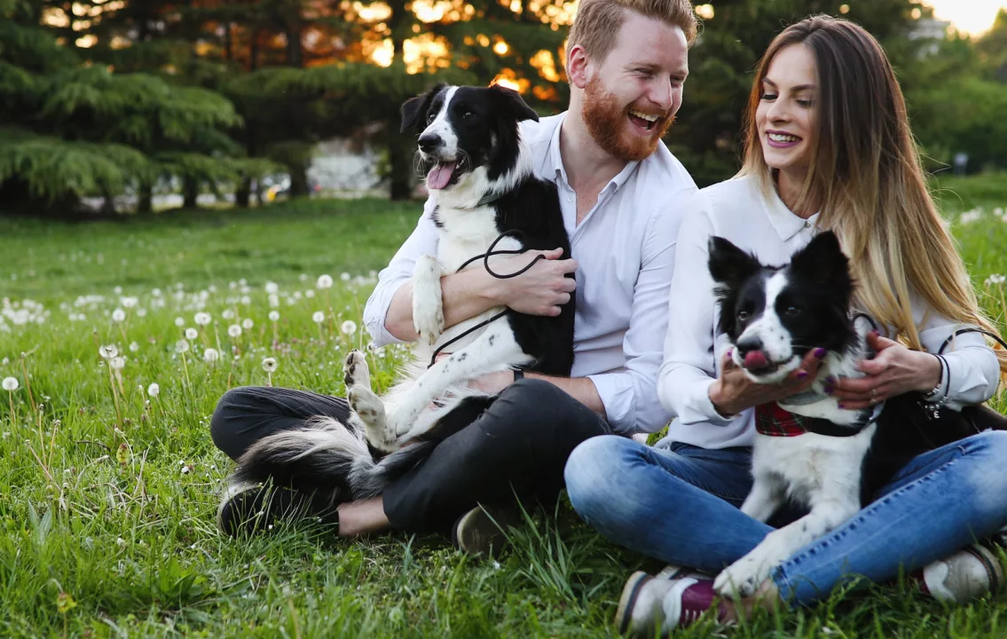 Łódź dog-friendly – places you can visit with your pet
