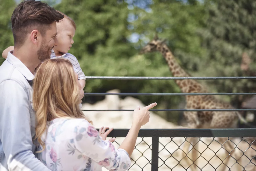10 ideas for a spring weekend in Łódź – entertainment for the whole family