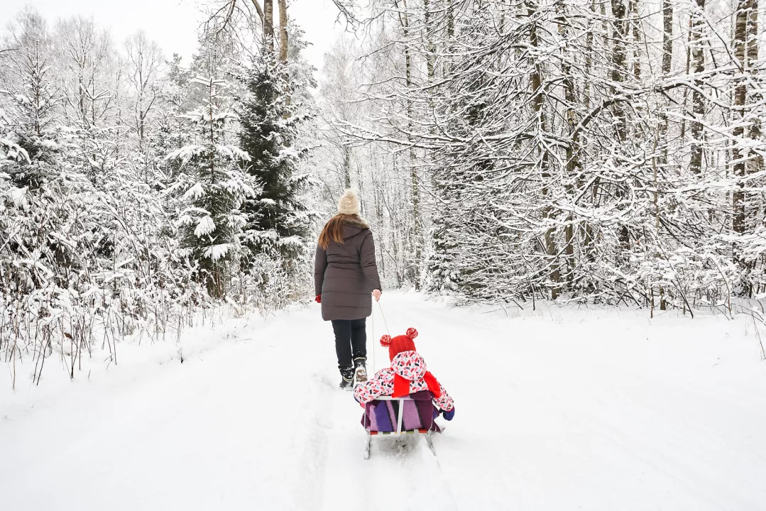 Where to go sledding in Łódź?