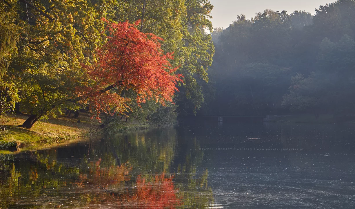 5 Most Beautiful City Parks in Łódź That You Should Visit
