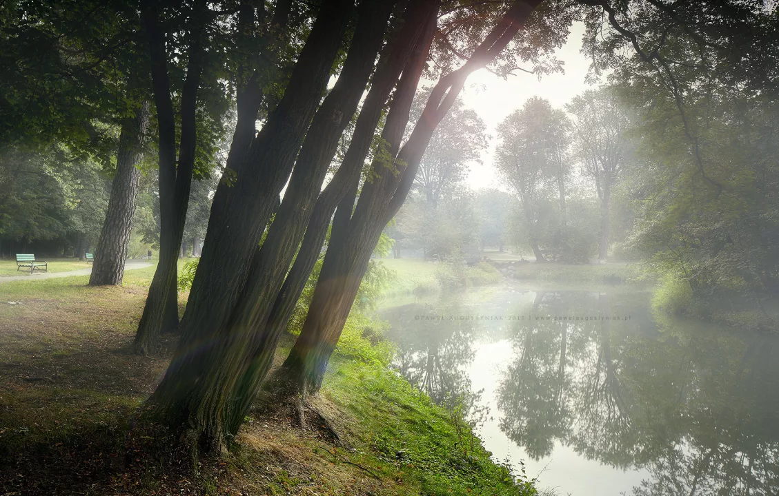 Running routes in Łódź – paths every marathoner should know