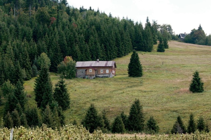 Kiedy należy wykonać pomiary drgań budynku?