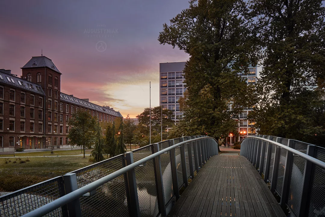 The History of Academic Łódź – from the Founding of Higher Education Institutions to International Student Exchanges