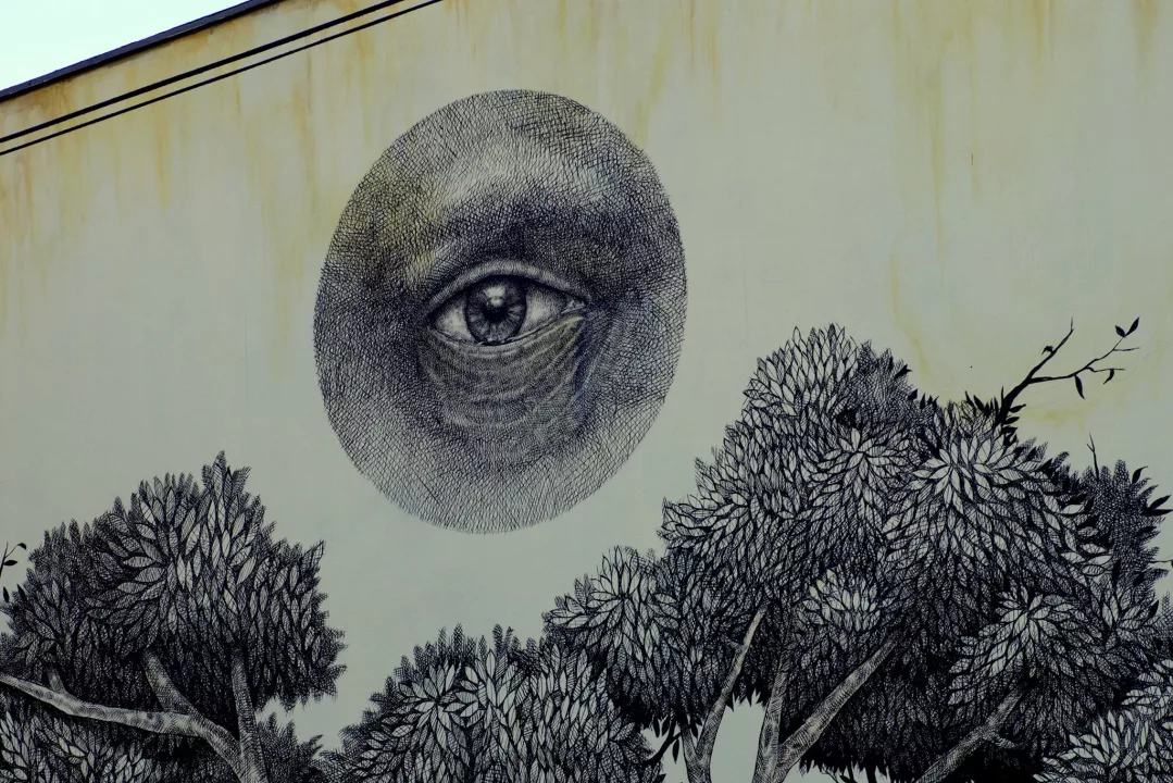 Ćma – co kryje w sobie tajemniczy mural z kamienicy przy Kilińskiego?
