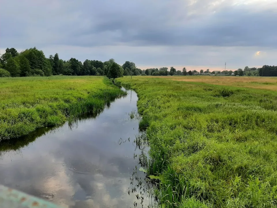 Park Miejski im. Rodu Łaskich