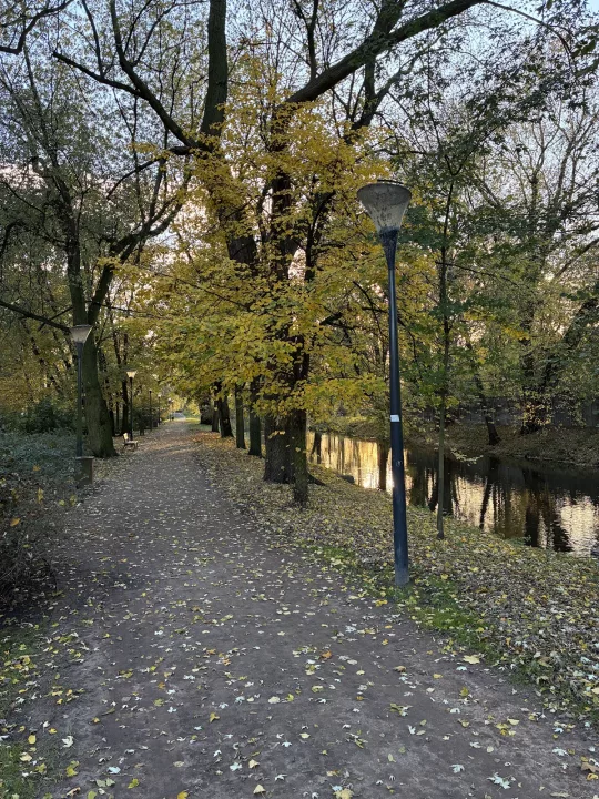 Park miejski