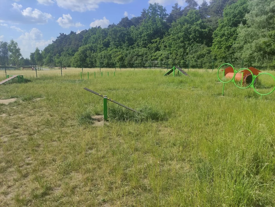Park dla psów, wybieg dla psów
