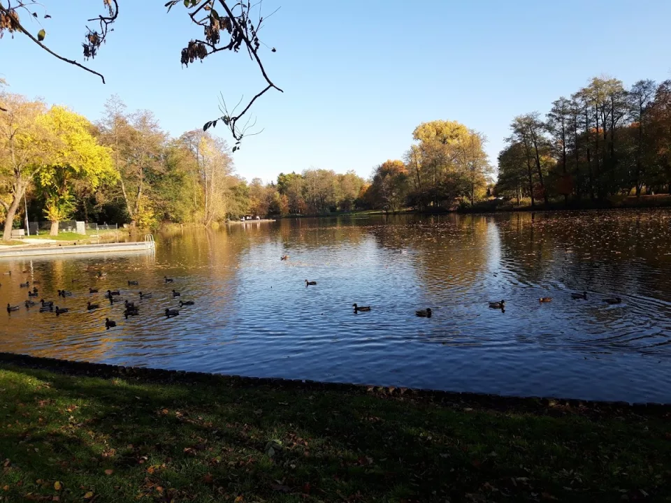 Park na Młynku