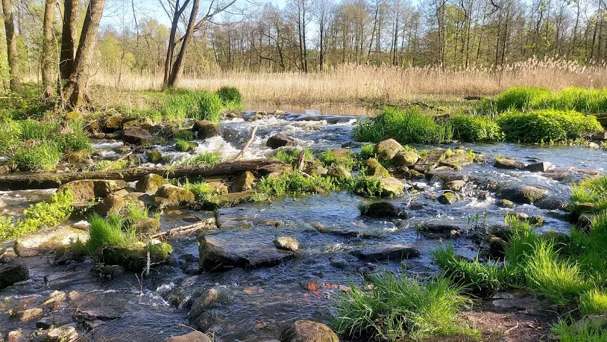 Młyn wodny