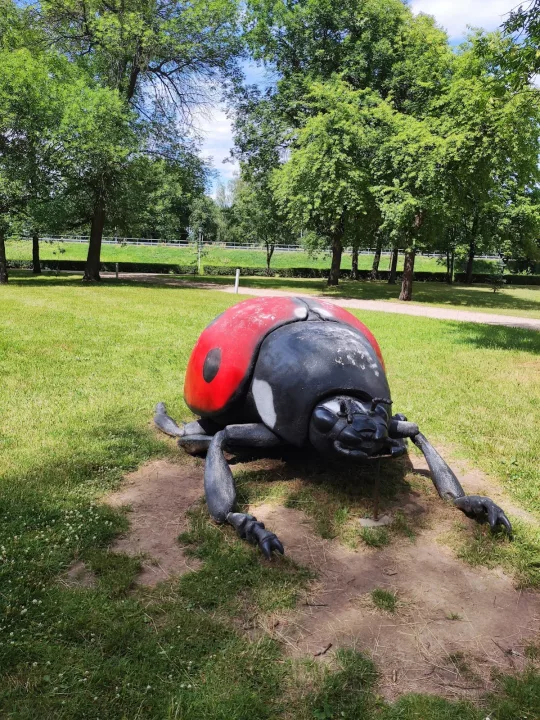 Park MOSIR Sieradz