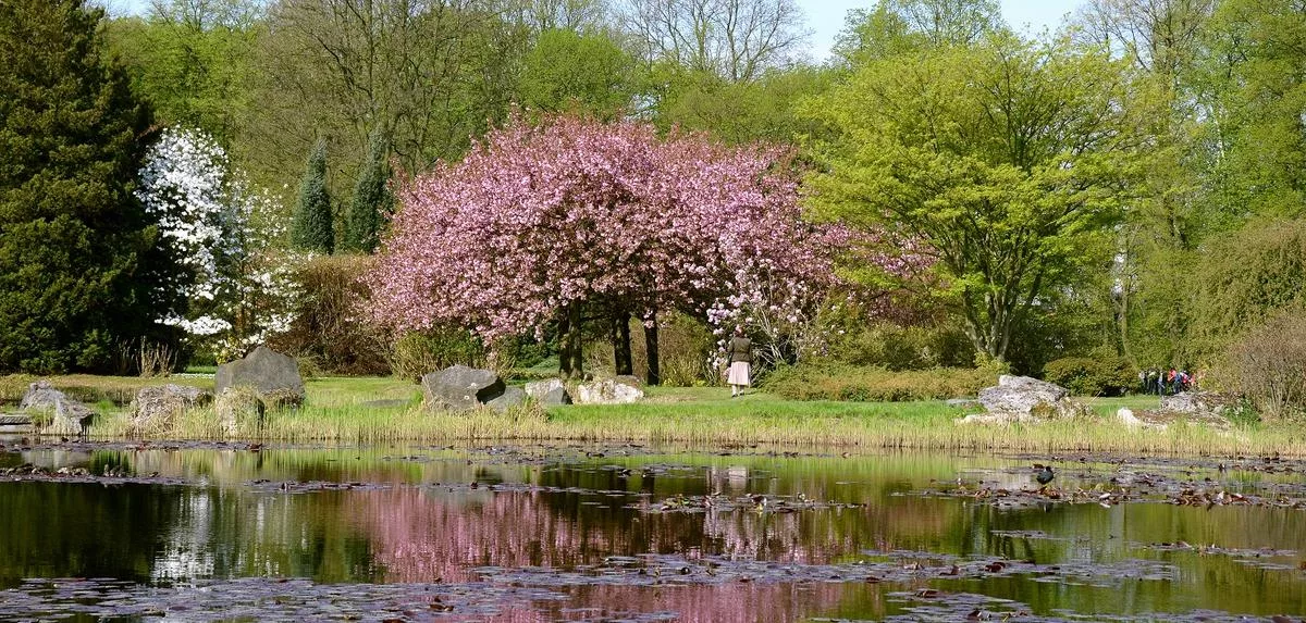 Łódzki Ogród Botaniczny