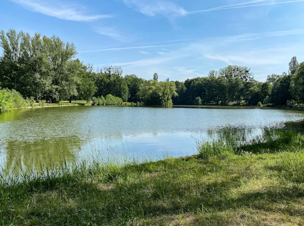 Park na Zdrowiu