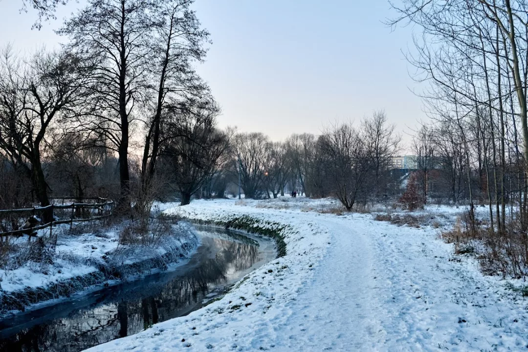 Park im. Pawła Nowaka