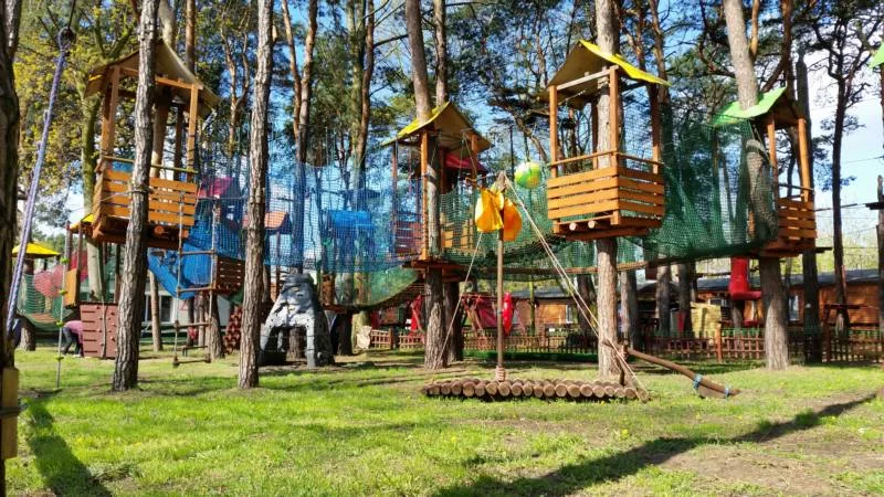 Park linowy nad Pilicą
