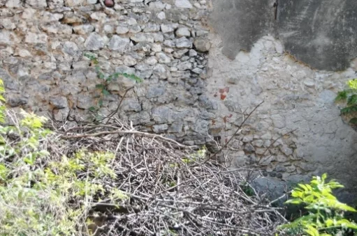Mur obronny