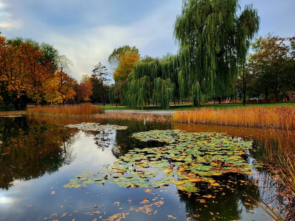 Park im Stefana Złotnickiego