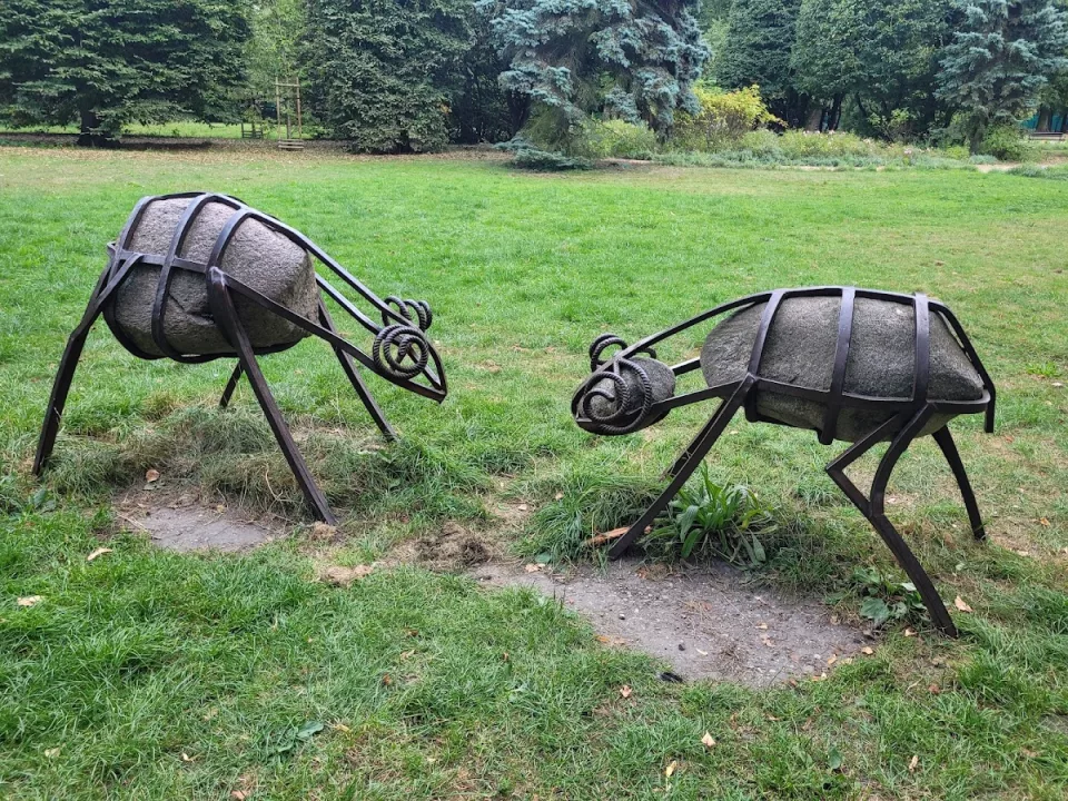 Piotrkowska fauna - barany