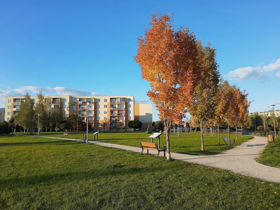 Park Miejski w Sieradzu, Osiedle Klonowe