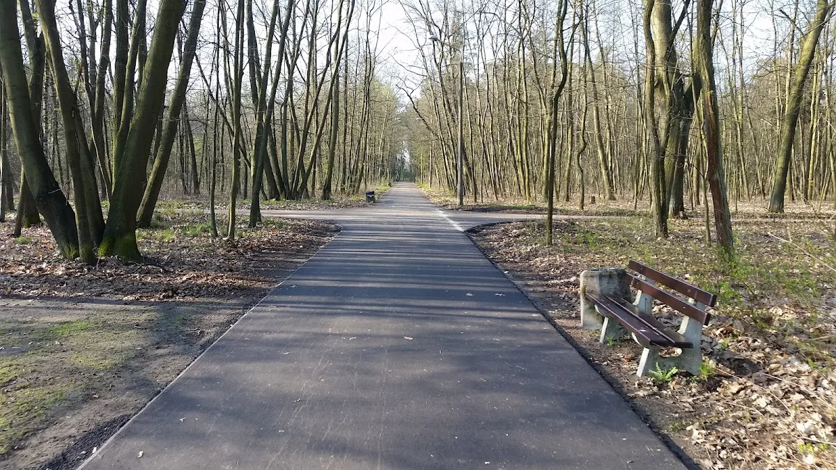 Park Wolności