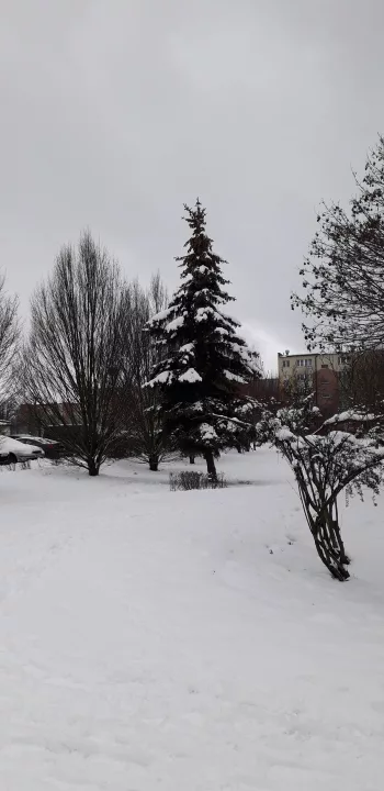 Park Osiedlowy