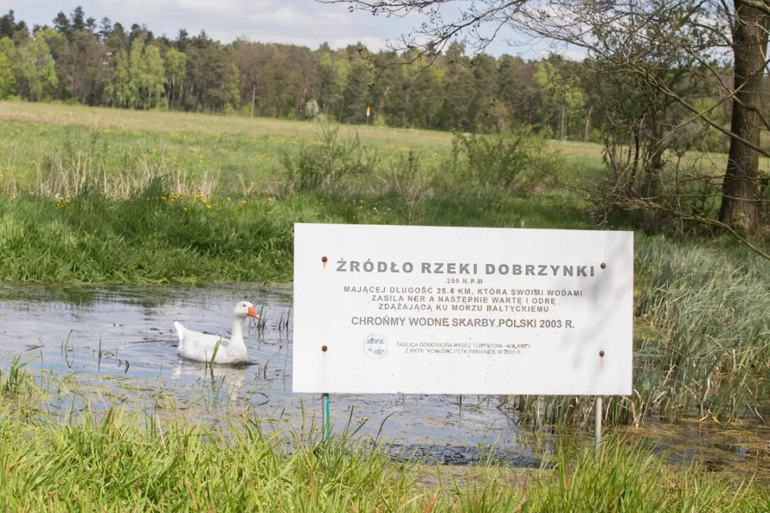Źródła Rzeki Dobrzynki
